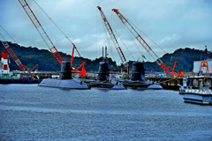 Z6S_9904