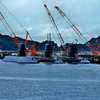 Z6S_9904