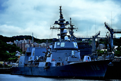Z6S_0029