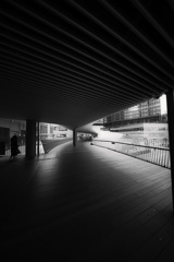 Z63_1017_2094