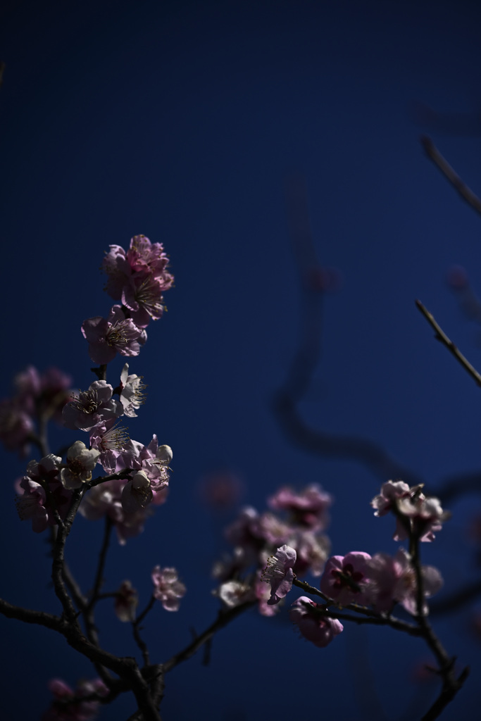 Z63_1689_2755