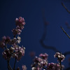 Z63_1689_2755