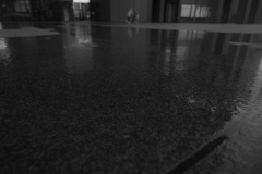 Z63_0708_1792