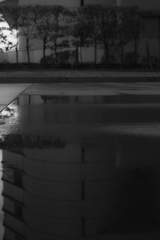 Z63_0670_1754