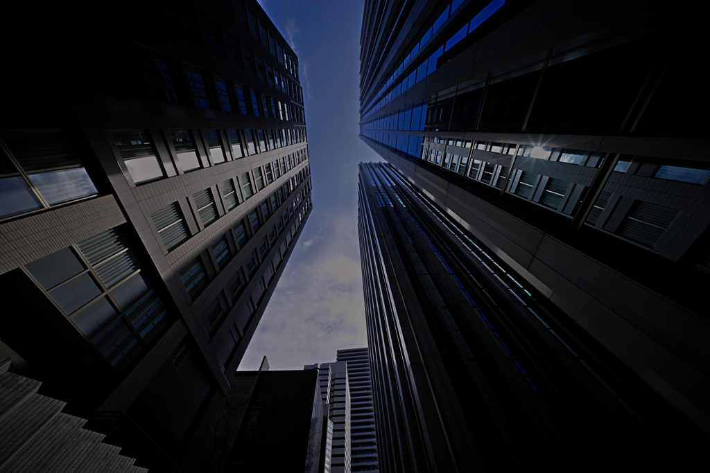 Z63_1851_2917