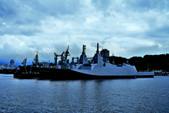 Z6S_0011