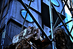Z6S_9085