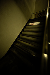 Z63_2130_3195