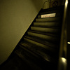 Z63_2130_3195