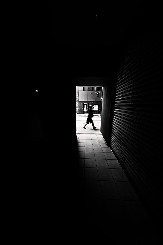 Z63_3542_4599