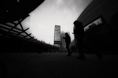 Z63_1380_2452