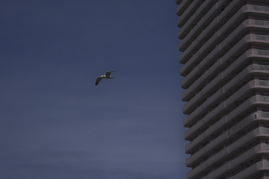 Z63_0739_1823