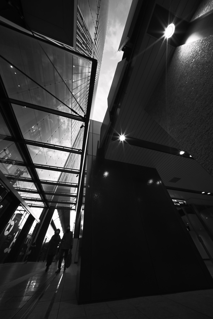 Z63_0958_2036