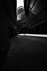 Z63_1359_2431