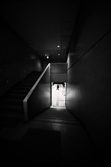 Z63_2083_3148