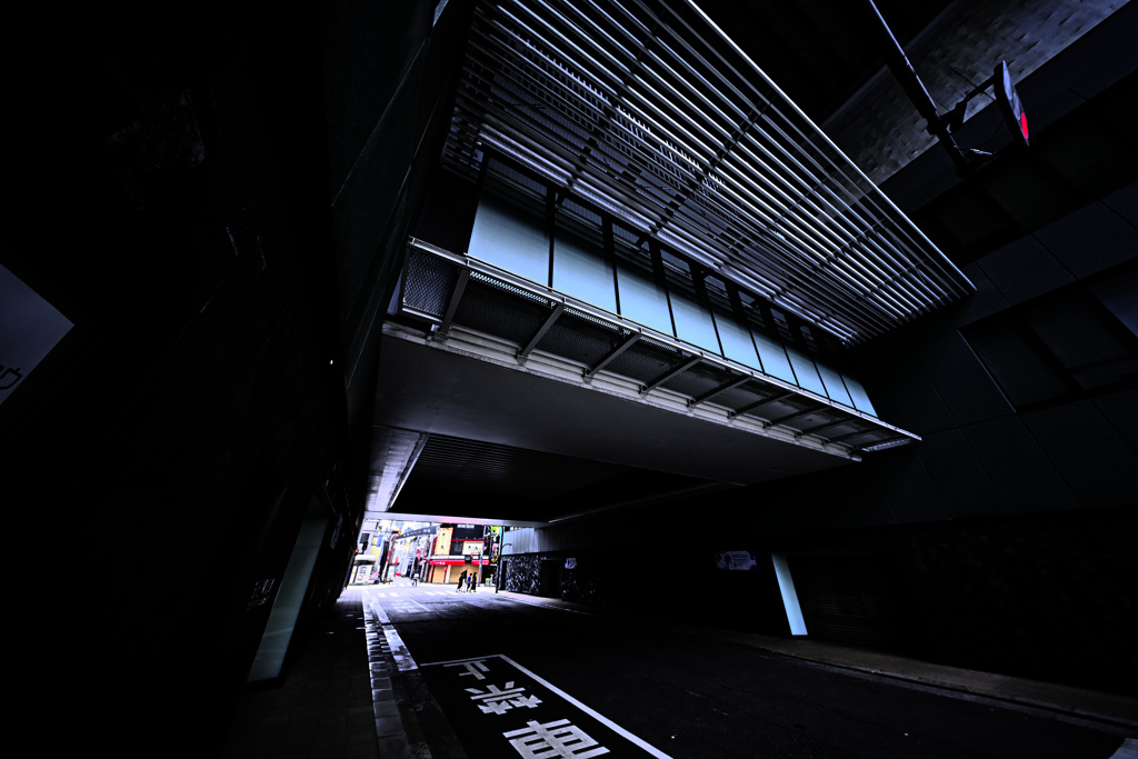 Z63_3538_4595