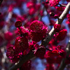 Z63_1726_2792