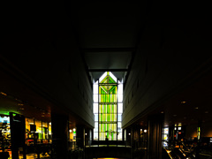 Z63_2788_3853