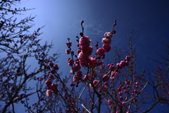 Z63_1713_2779