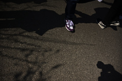 Z63_1743_2809
