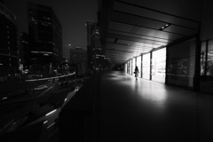 Z63_0999_2077