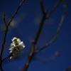 Z63_1701_2767