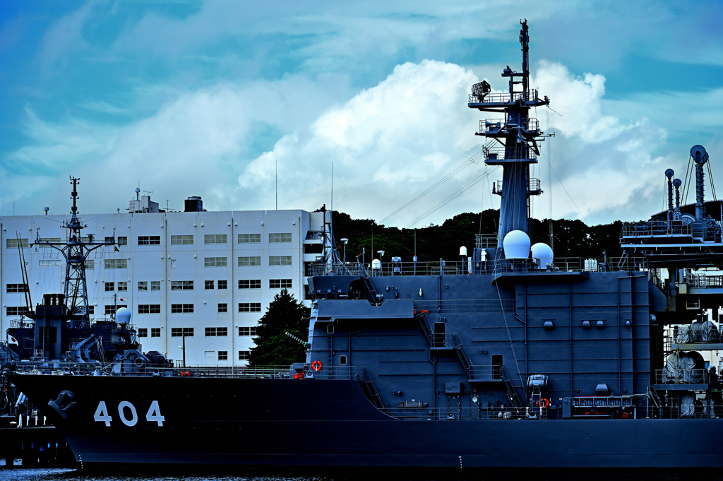 Z6S_9971