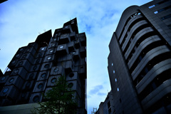 Z6S_9095