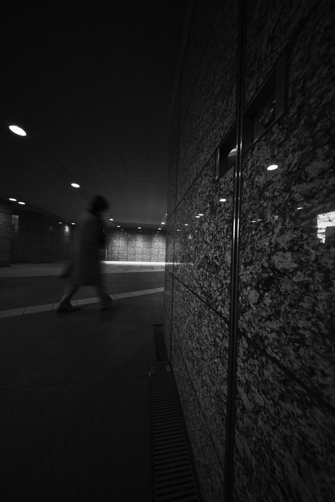 Z63_0963_2041