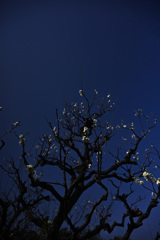 Z63_1699_2765