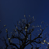 Z63_1699_2765