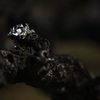 Z63_1705_2771