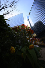 Z63_2683_3748