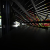 Z63_3589_4646