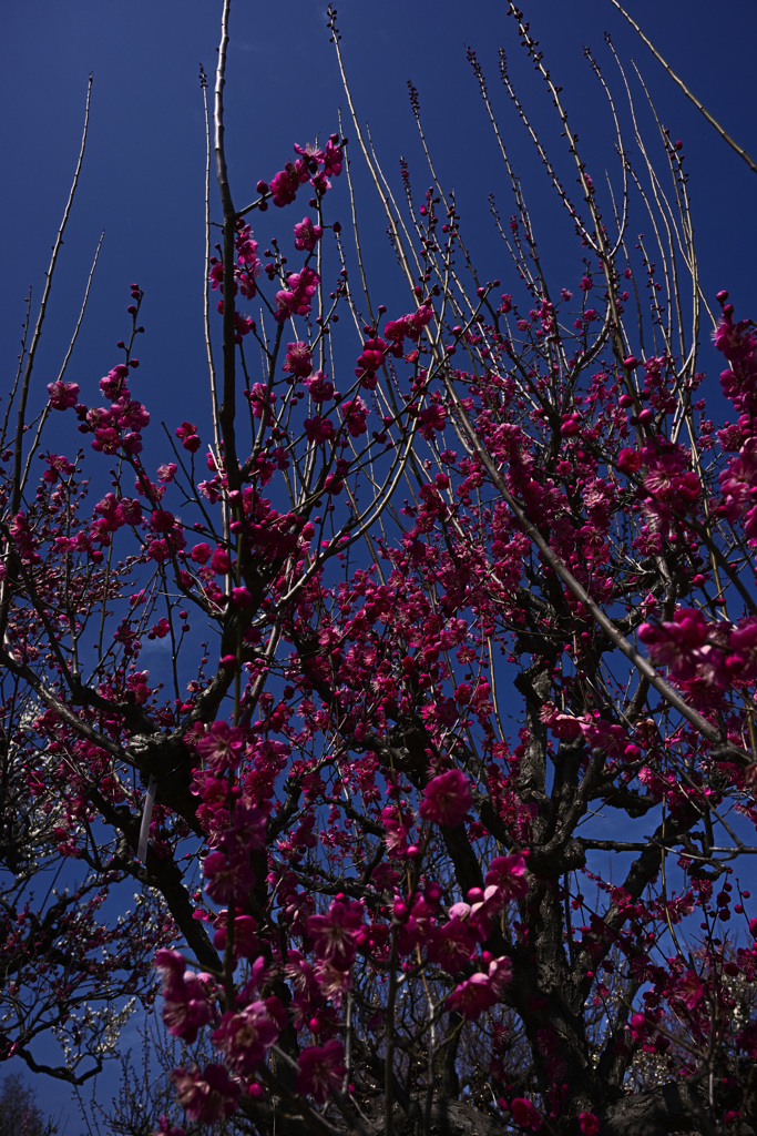 Z63_1731_2797