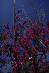 Z63_1731_2797