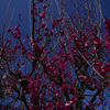 Z63_1731_2797