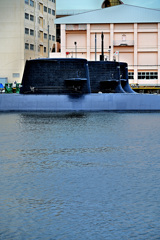 Z6S_9909