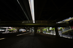 Z63_3733_4790