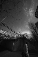 Z63_1120_2197