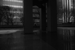 Z63_0713_1797