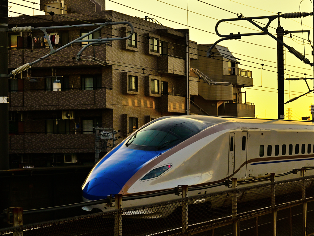Z6S_5974_01