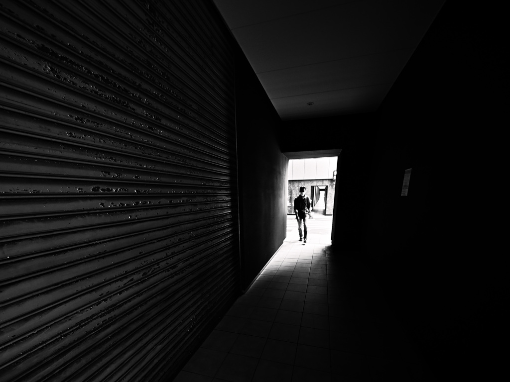 Z63_3531_4588
