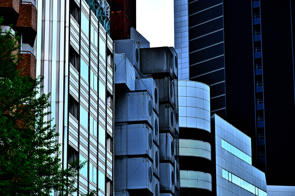 Z6S_9059