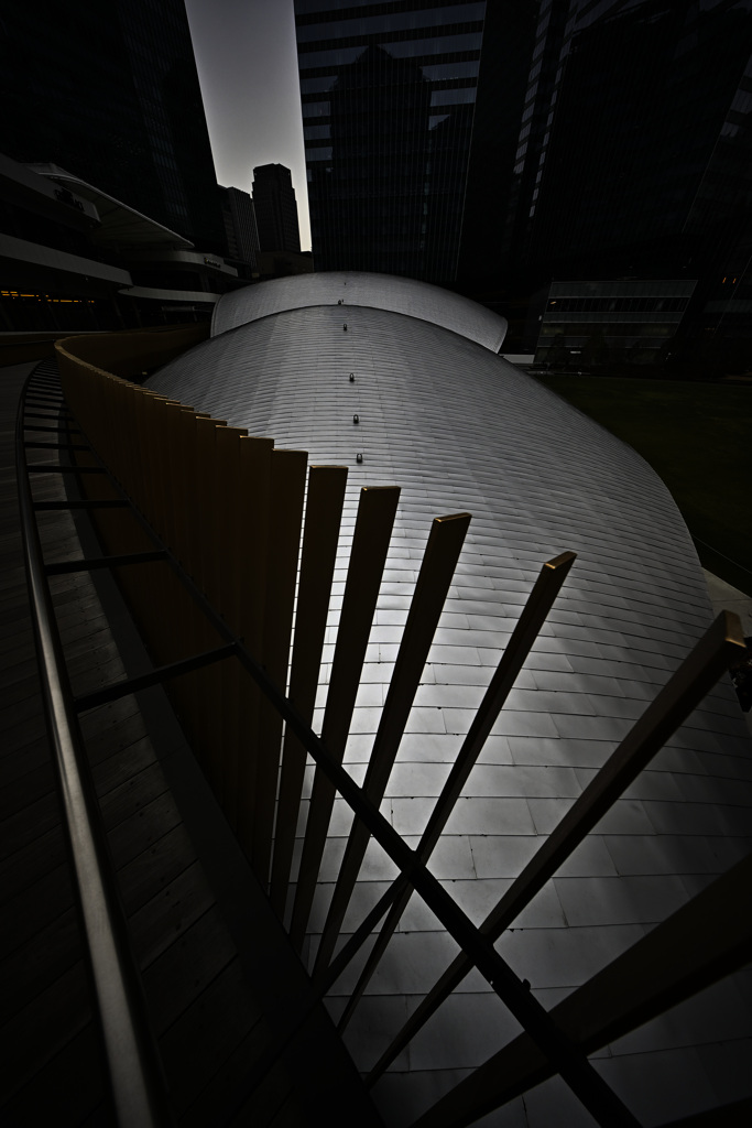 Z63_1099_2176