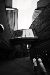 Z63_1377_2449