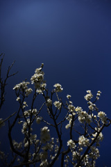 Z63_1738_2804