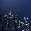 Z63_1738_2804
