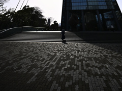 Z63_2843_3908