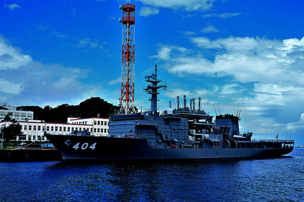 Z6S_9978